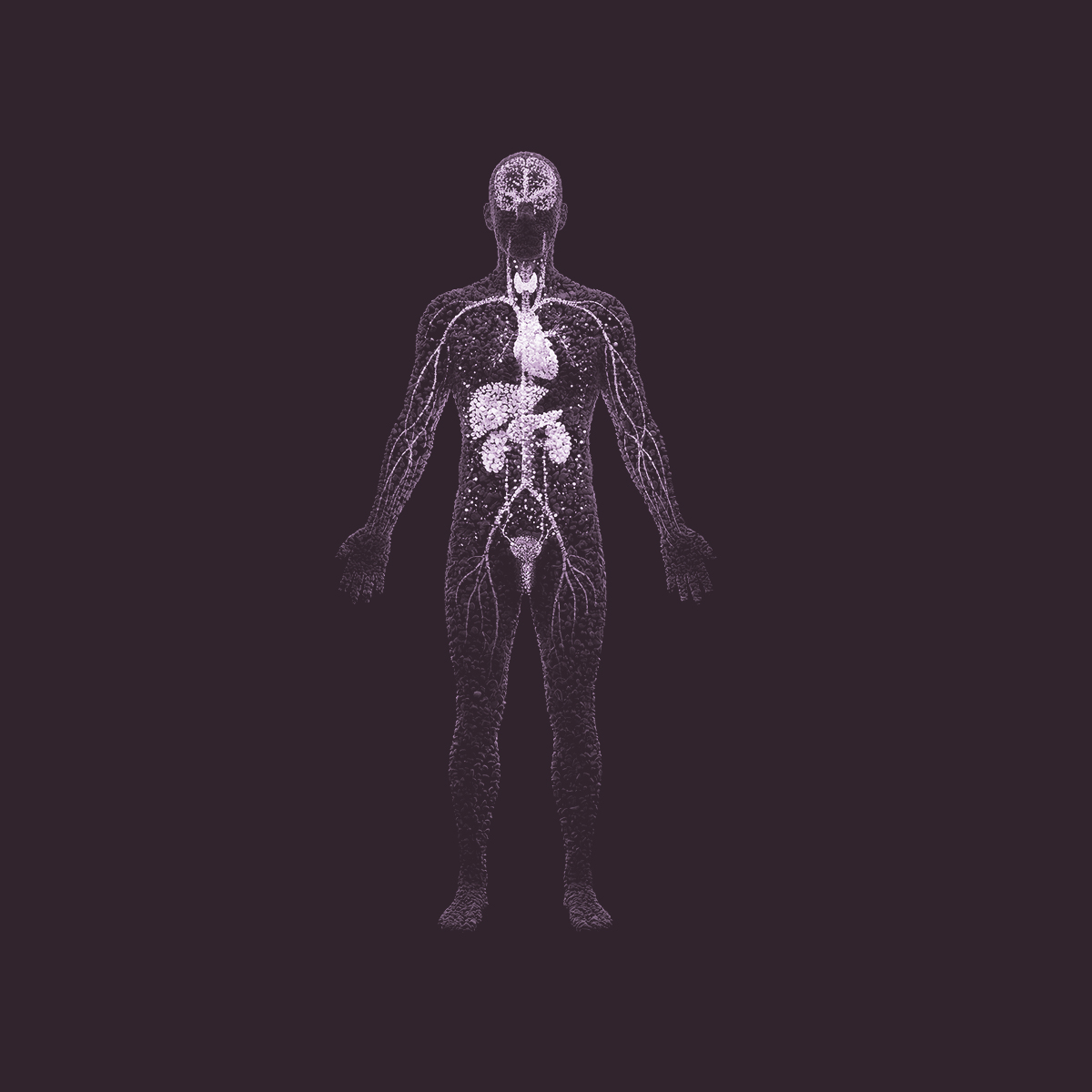 The Complete Man